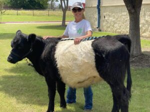 A miniature horse being groomed at a Hidden Pastures Community Animal Visit