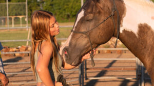 A young person gently touching a horse's nose at Hidden Pastures during All Abilities Farm Day