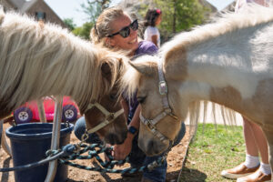 A woman standing with a black and white belted cow at a Hidden Pastures Event Animal Visit