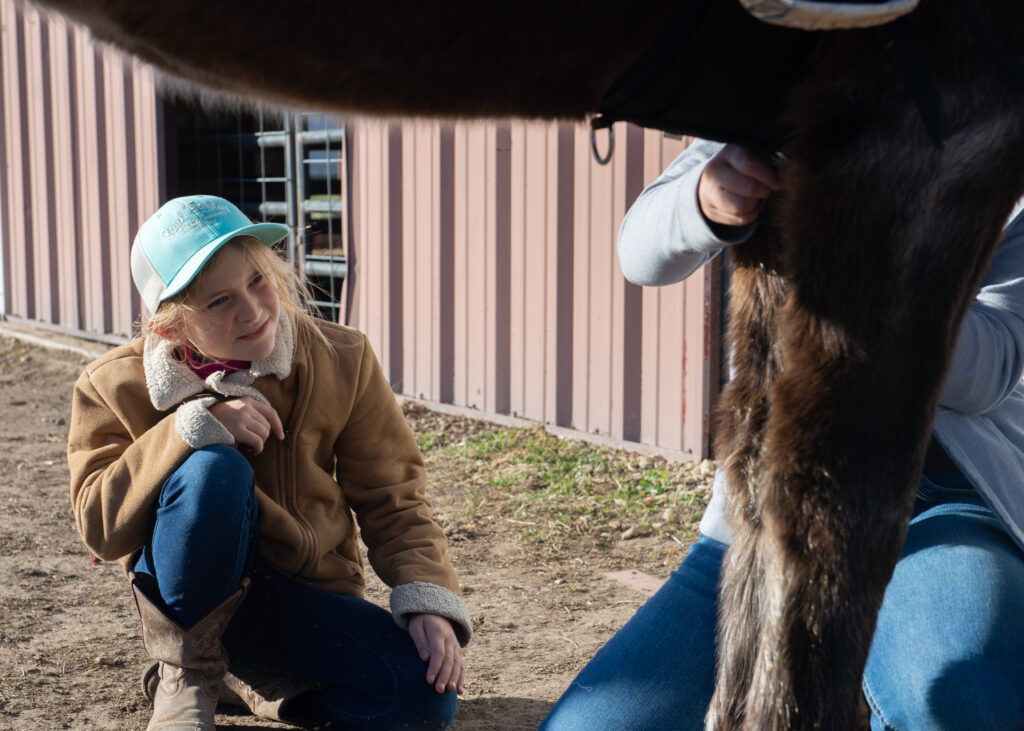 A volunteer helping with farrier care for a horse at Hidden Pastures