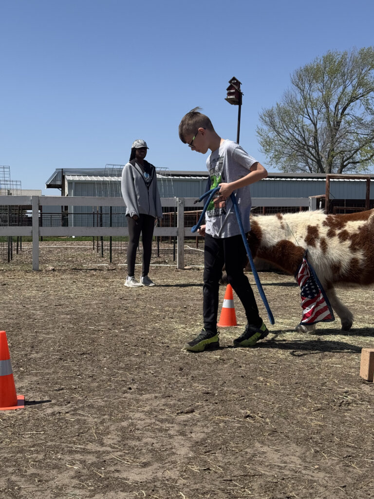 Camper leading an animal on a lead rope during Fall Break Farm Camp at Hidden Pastures