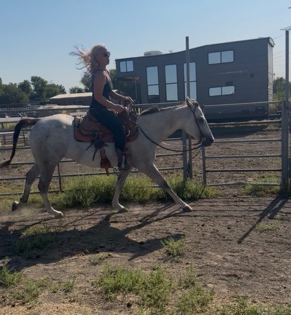 Private Western riding lesson at Hidden Pastures