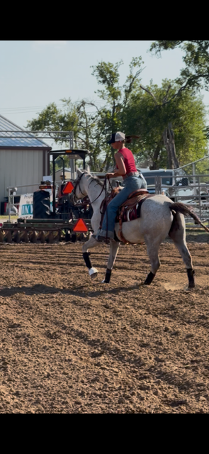A horse cantering in an arena at Hidden Pastures
