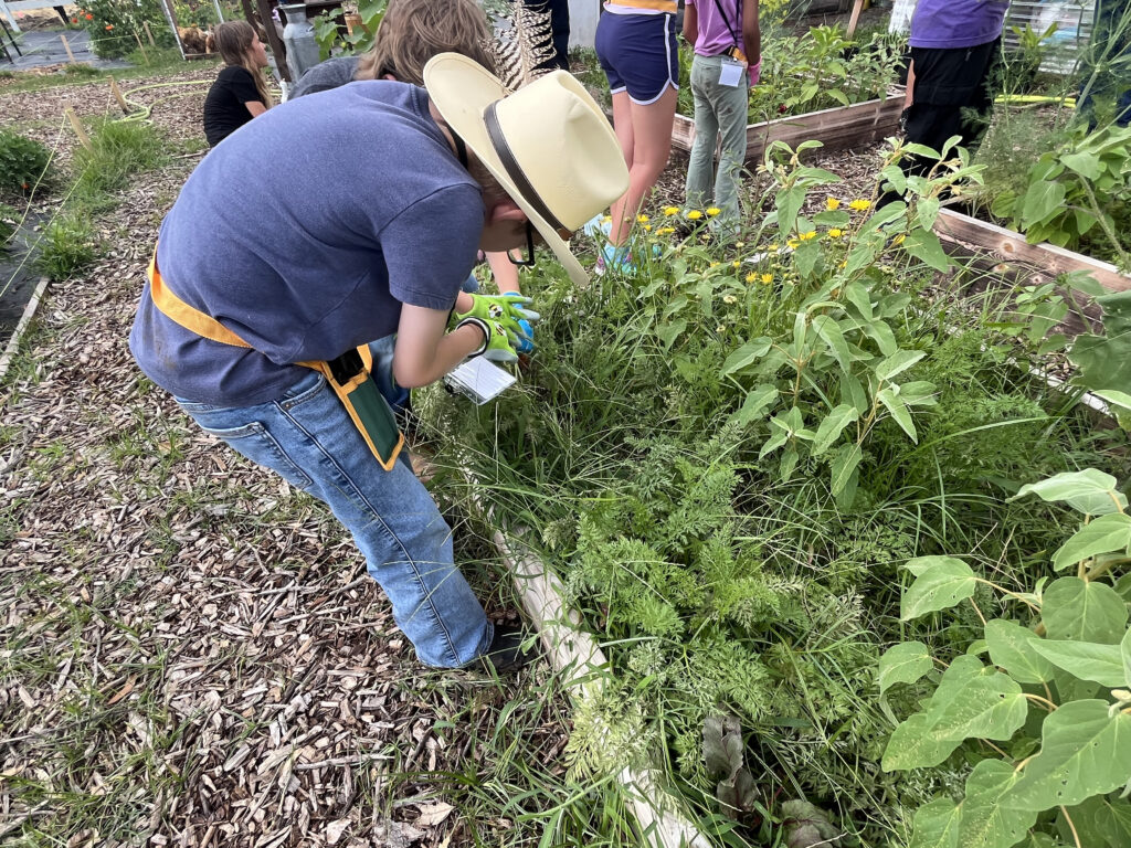 Campers gardening in a raised garden bed at Hidden Pastures Summer Farm Camp