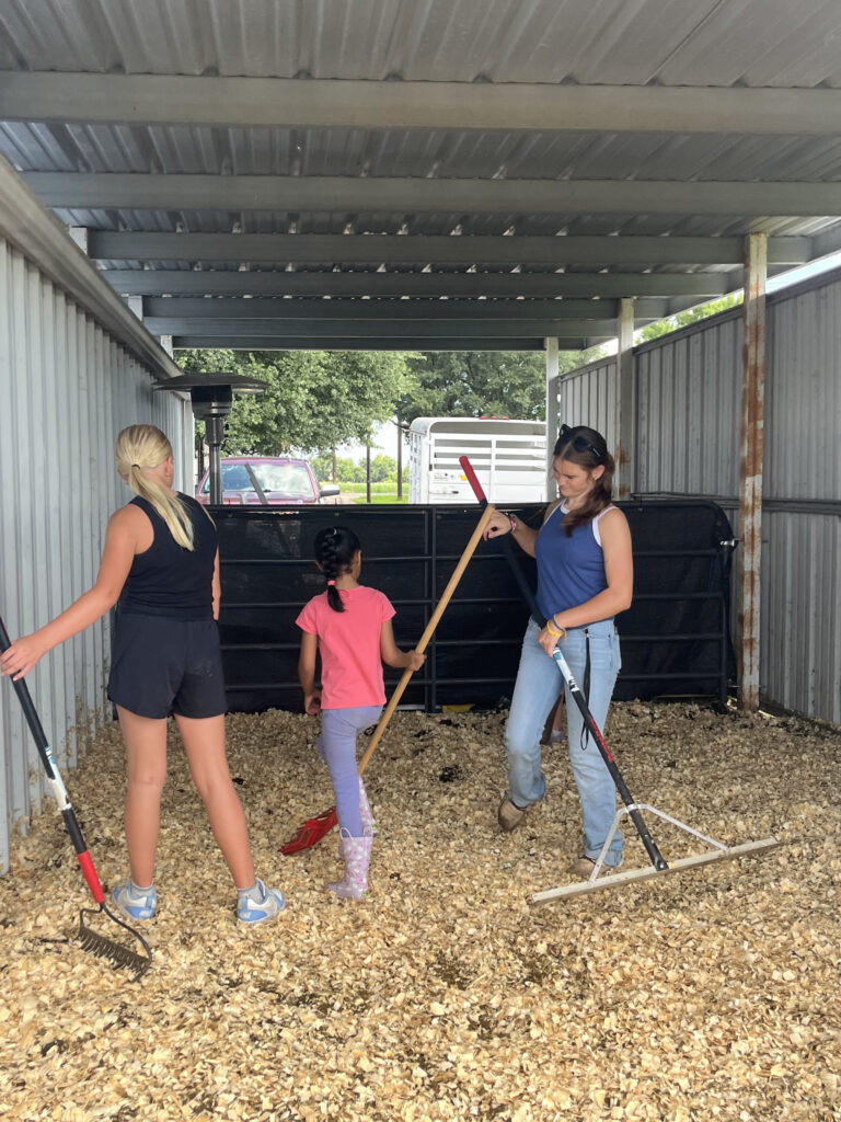 Volunteers spreading fresh bedding in a barn stall at Hidden Pastures