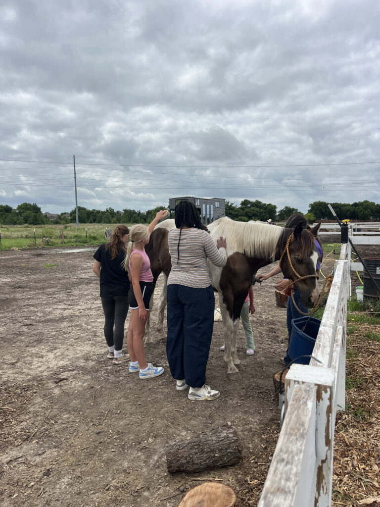 Campers petting and grooming a horse at Hidden Pastures Summer Farm Camp
