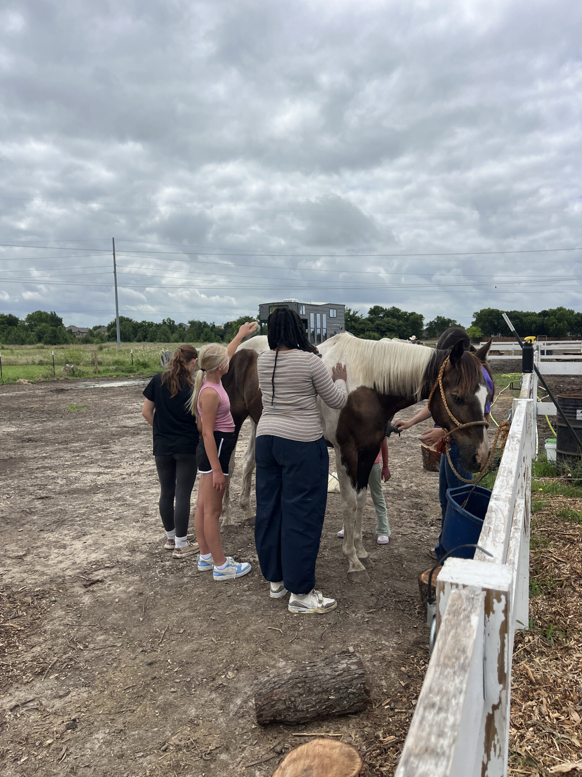 Campers petting and grooming a horse at Hidden Pastures Summer Farm Camp