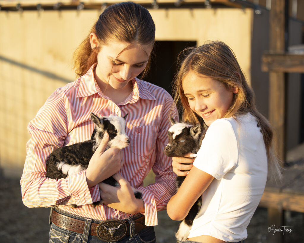 Children with a goat kid during a Hidden Pastures Homeschool Farm Days session