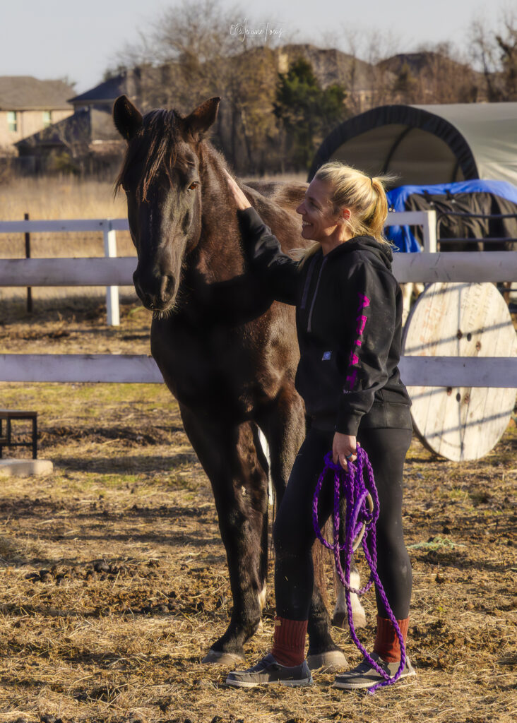 A person standing with a horse at Hidden Pastures