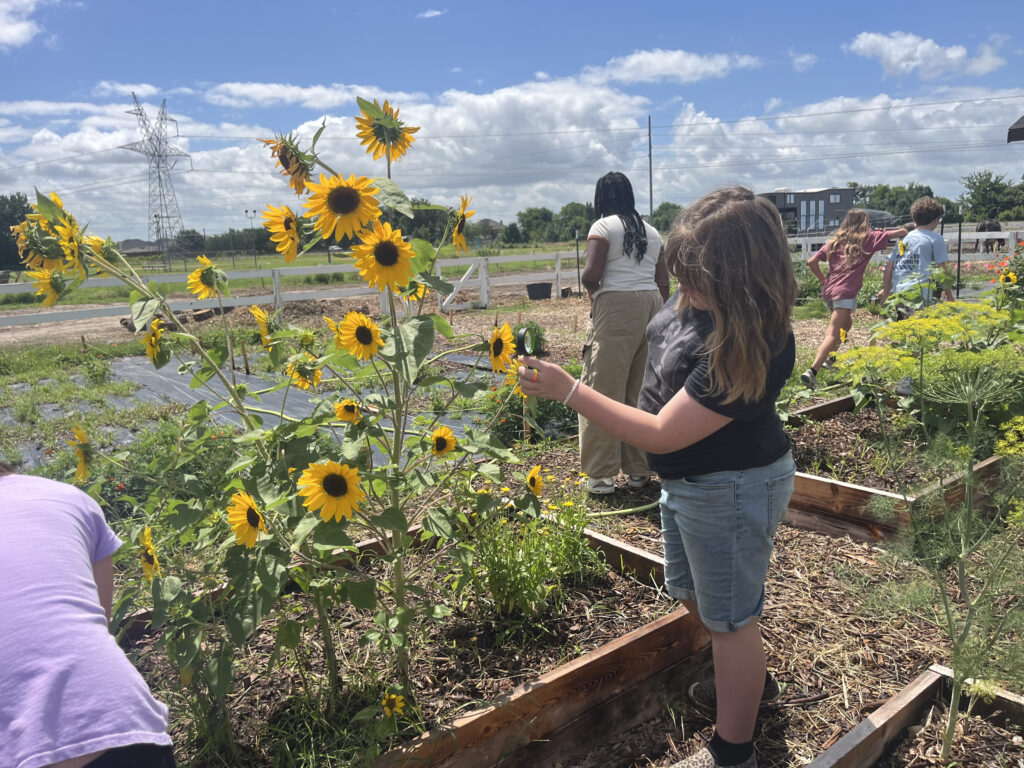Children participating in garden activities at Hidden Pastures
